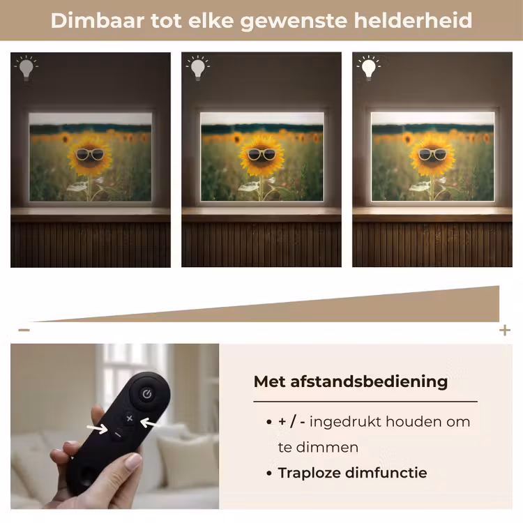 Lightbox - Wandlamp - Zonnebloem - Veld - Zonnebril — 9