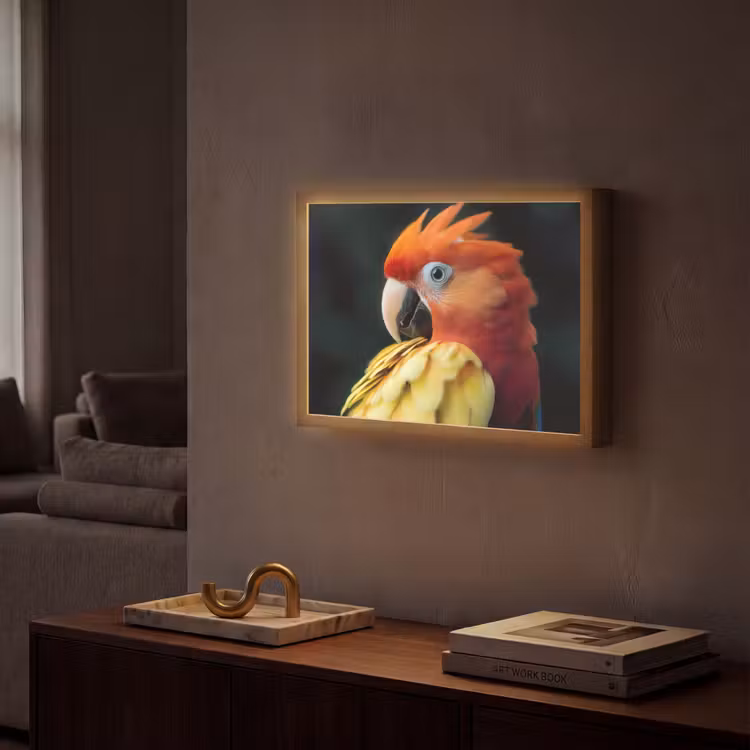 Lightbox - Wandlamp - Close-up - Papegaai - Veren - Oranje — 2