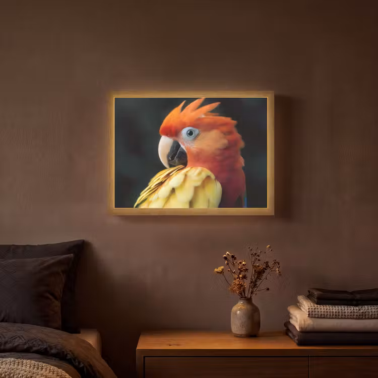 Lightbox - Wandlamp - Close-up - Papegaai - Veren - Oranje — 3