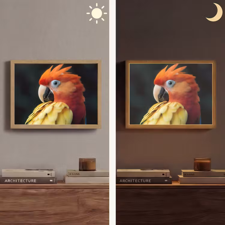 Lightbox - Wandlamp - Close-up - Papegaai - Veren - Oranje — 6