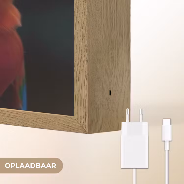 Lightbox - Wandlamp - Close-up - Papegaai - Veren - Oranje — 7
