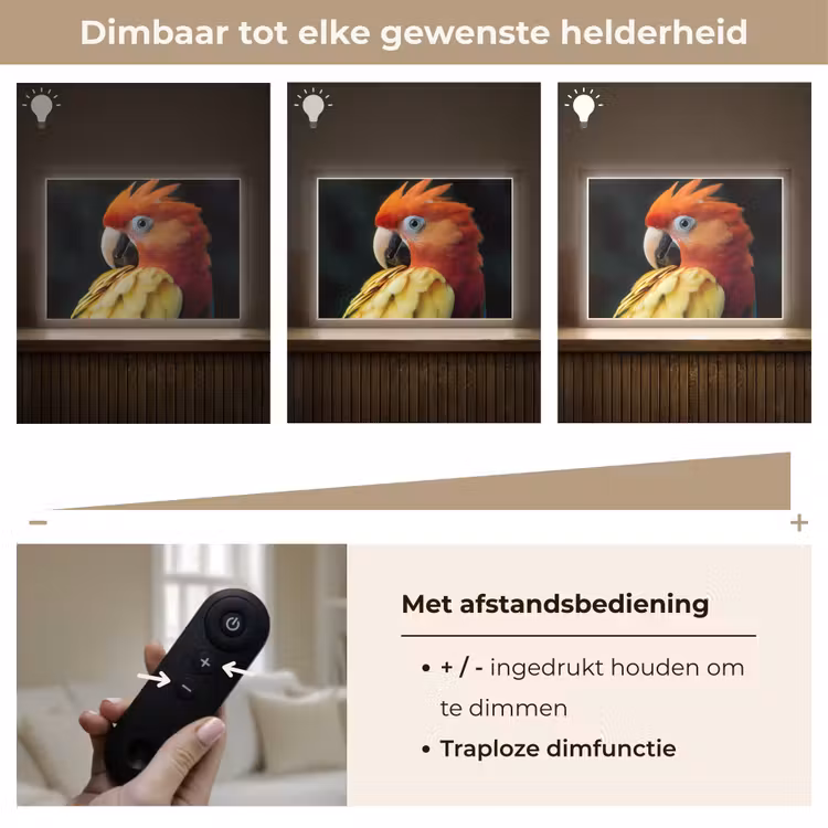Lightbox - Wandlamp - Close-up - Papegaai - Veren - Oranje — 9