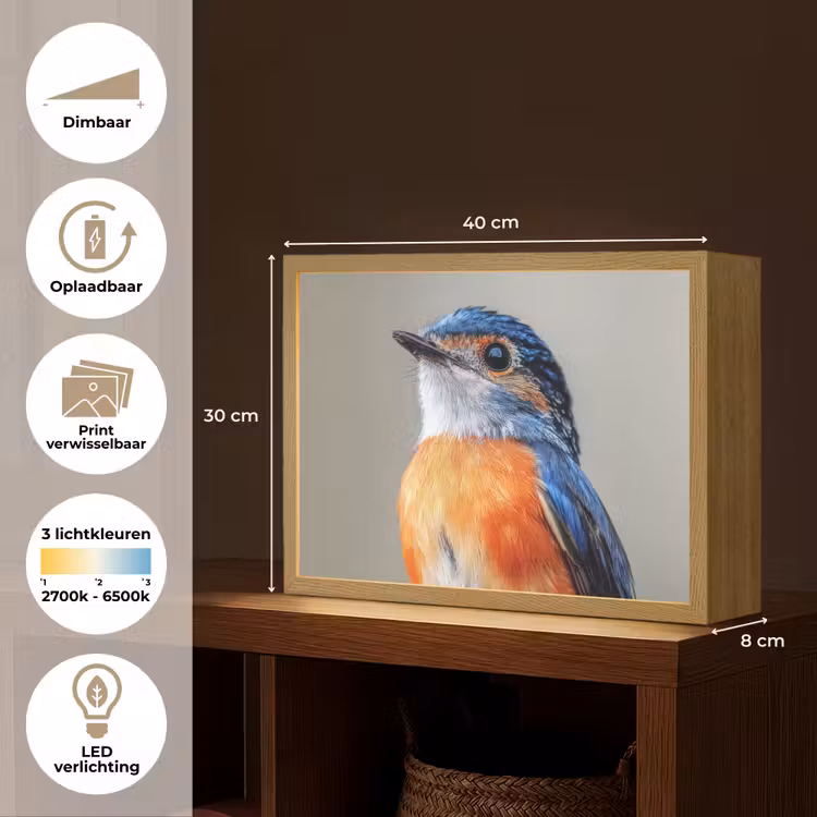 Lightbox - Wandlamp - Kleurrijk - Vogeltje - Veren - Blauw — 10