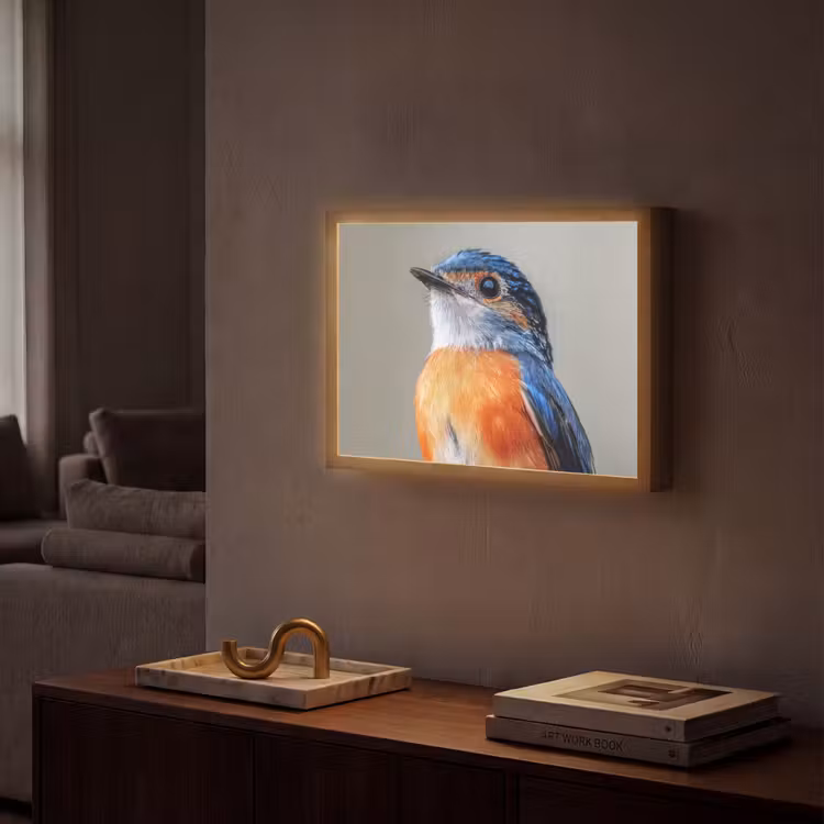 Lightbox - Wandlamp - Kleurrijk - Vogeltje - Veren - Blauw — 2