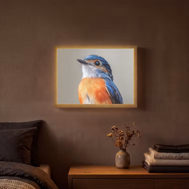 Lightbox - Wandlamp - Kleurrijk - Vogeltje - Veren - Blauw — 3