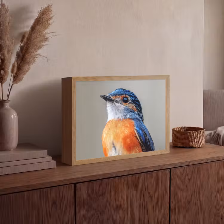 Lightbox - Wandlamp - Kleurrijk - Vogeltje - Veren - Blauw — 4