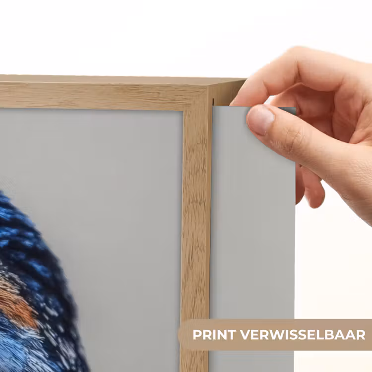 Lightbox - Wandlamp - Kleurrijk - Vogeltje - Veren - Blauw — 5
