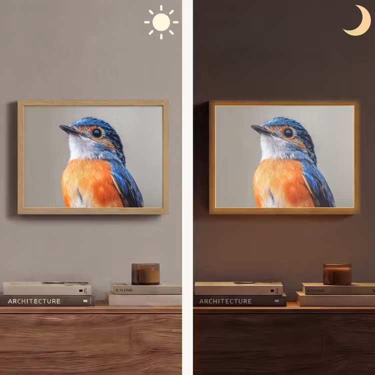 Lightbox - Wandlamp - Kleurrijk - Vogeltje - Veren - Blauw — 6