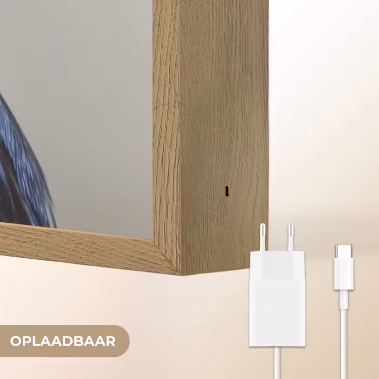Lightbox - Wandlamp - Kleurrijk - Vogeltje - Veren - Blauw — 7