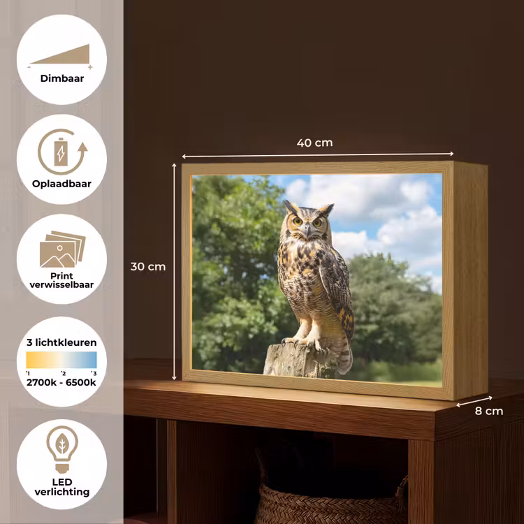 Lightbox - Wandlamp - Uil - Boomstronk - Bos - Lucht — 10