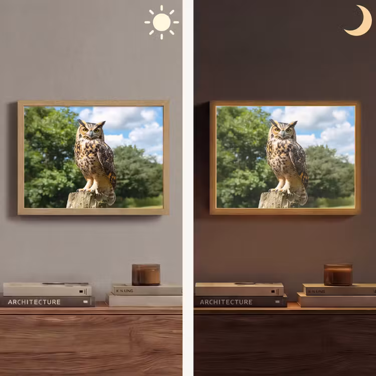 Lightbox - Wandlamp - Uil - Boomstronk - Bos - Lucht — 6