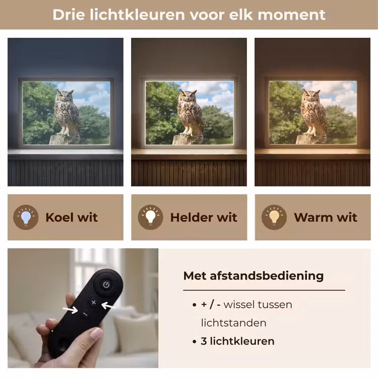 Lightbox - Wandlamp - Uil - Boomstronk - Bos - Lucht — 8