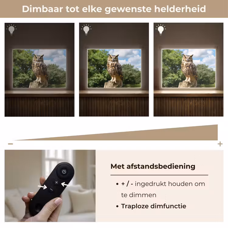 Lightbox - Wandlamp - Uil - Boomstronk - Bos - Lucht — 9