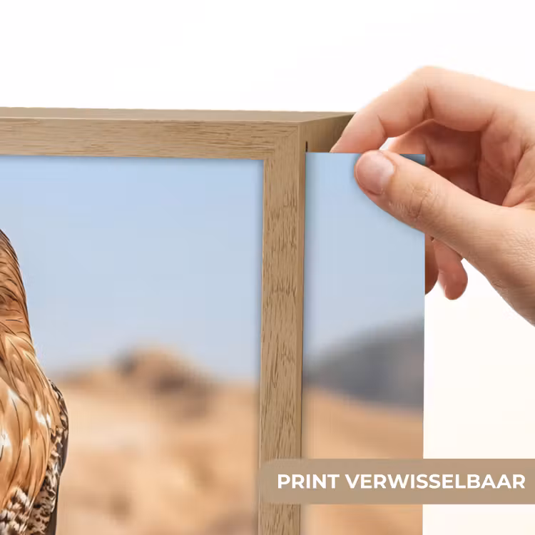Lightbox - Wandlamp - Valk - Vogel - Rots - Macht — 5