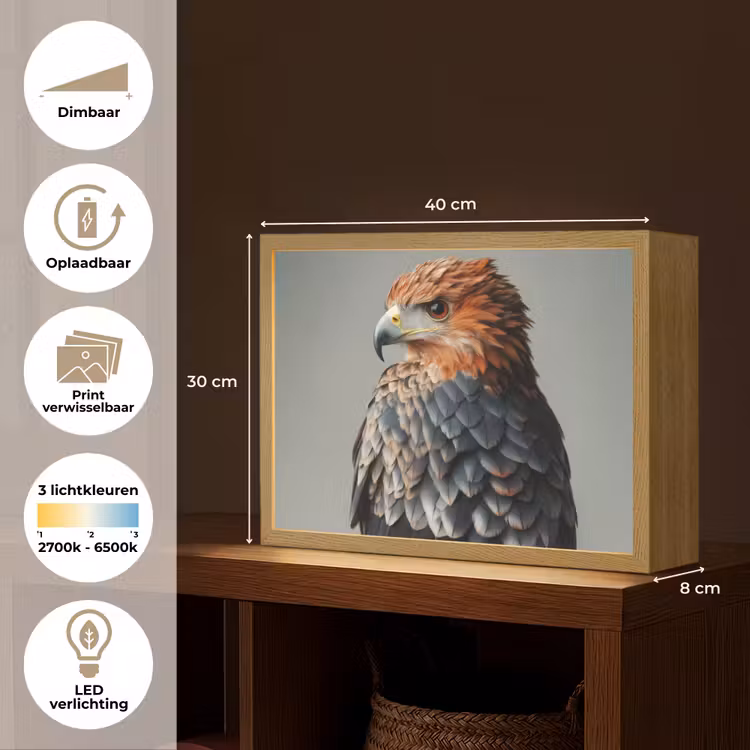 Lightbox - Wandlamp - Vogel - Realistisch - Veren - Bruin — 10