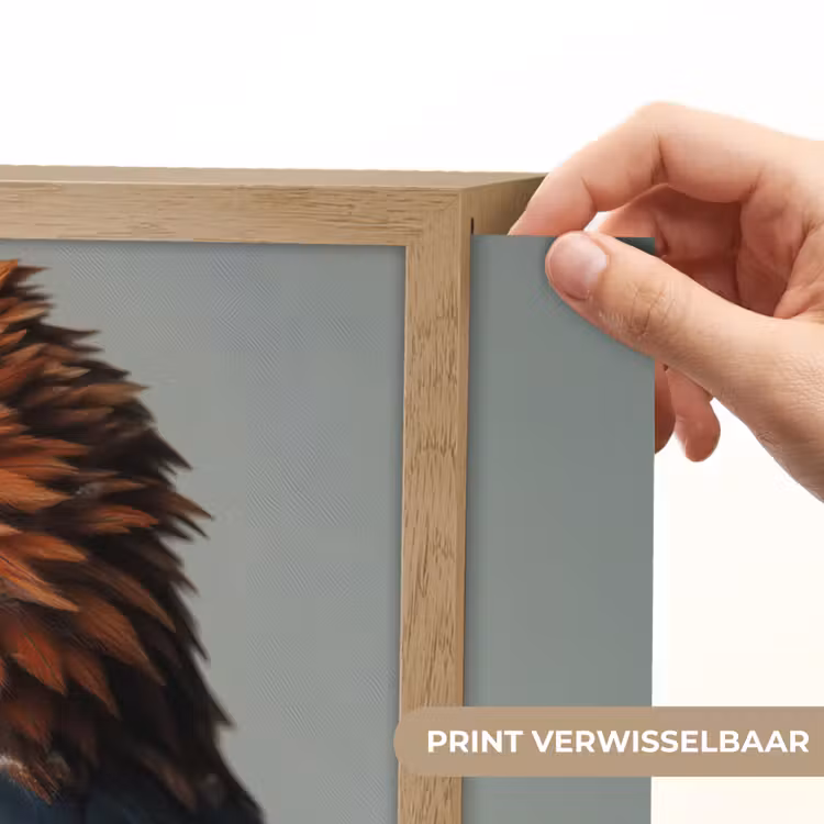 Lightbox - Wandlamp - Vogel - Realistisch - Veren - Bruin — 5