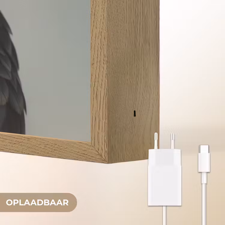 Lightbox - Wandlamp - Vogel - Realistisch - Veren - Bruin — 7