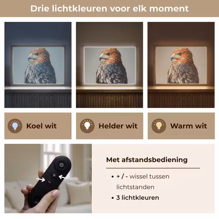 Lightbox - Wandlamp - Vogel - Realistisch - Veren - Bruin — 8