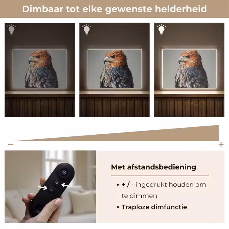 Lightbox - Wandlamp - Vogel - Realistisch - Veren - Bruin — 9