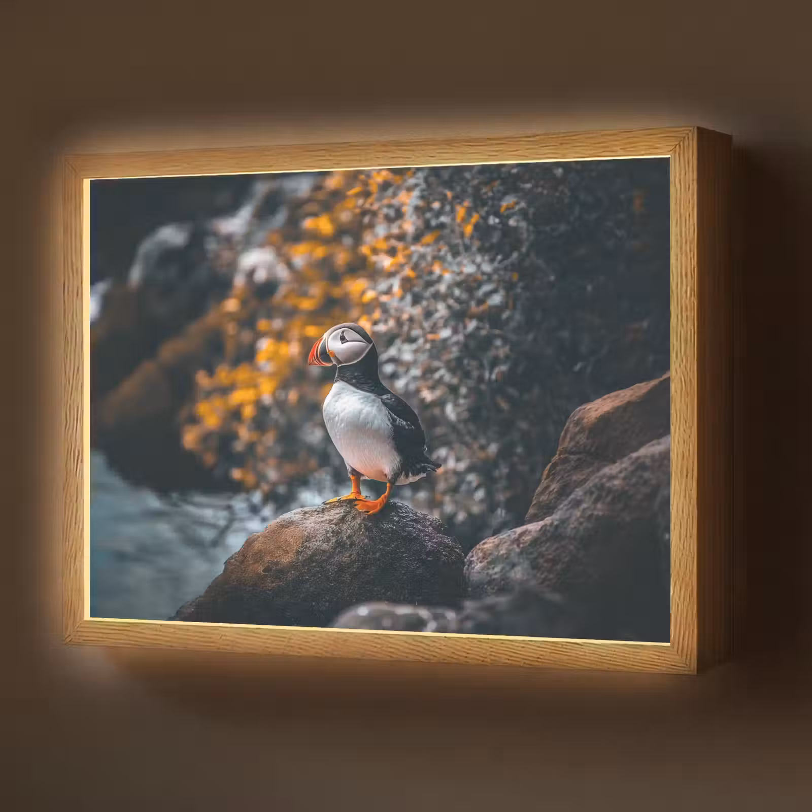 Lightbox - Wandlamp - Papegaai - Vogel - Rots - Wit — 1