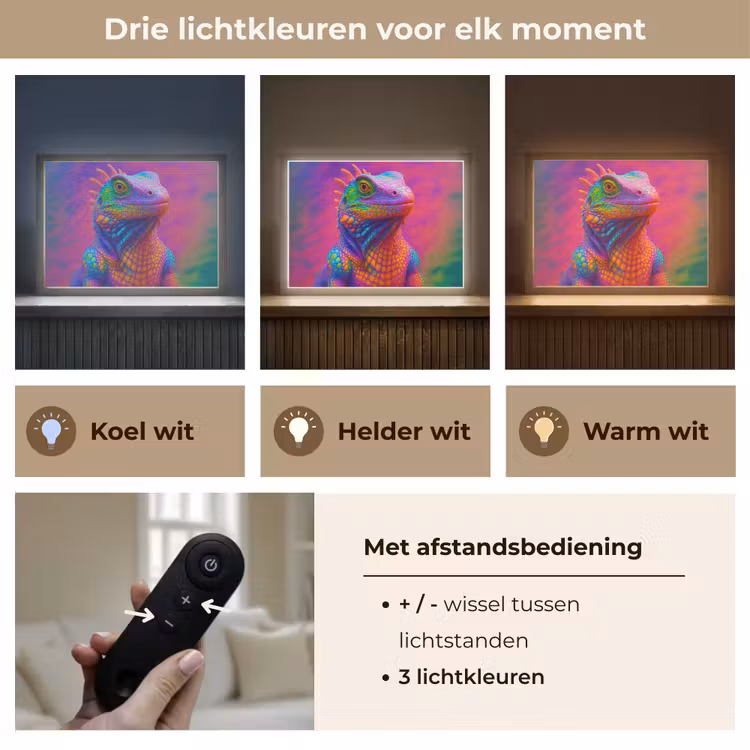 Lightbox - Wandlamp - Kameleon - Dieren - Neon - Kleur — 8