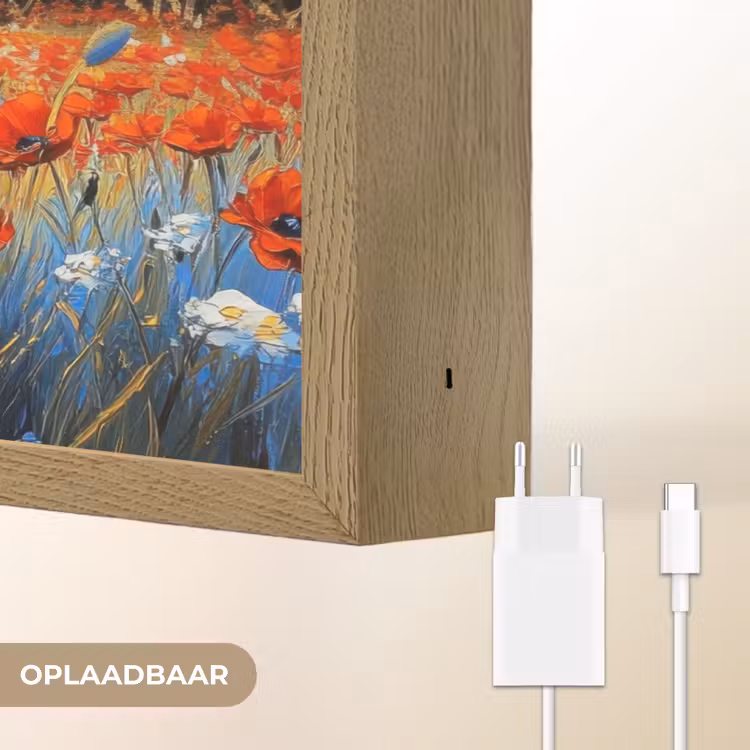 Lightbox - Wandlamp - Klaproos - Bloemenveld - Kleurrijk — 7
