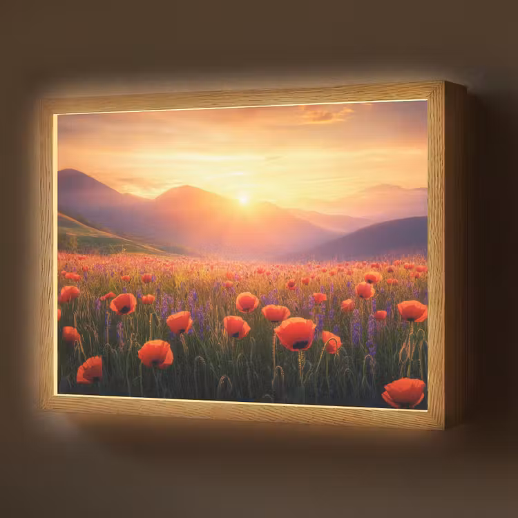 Lightbox - Wandlamp - Landschap - Zonsondergang - Bloemenveld — 1