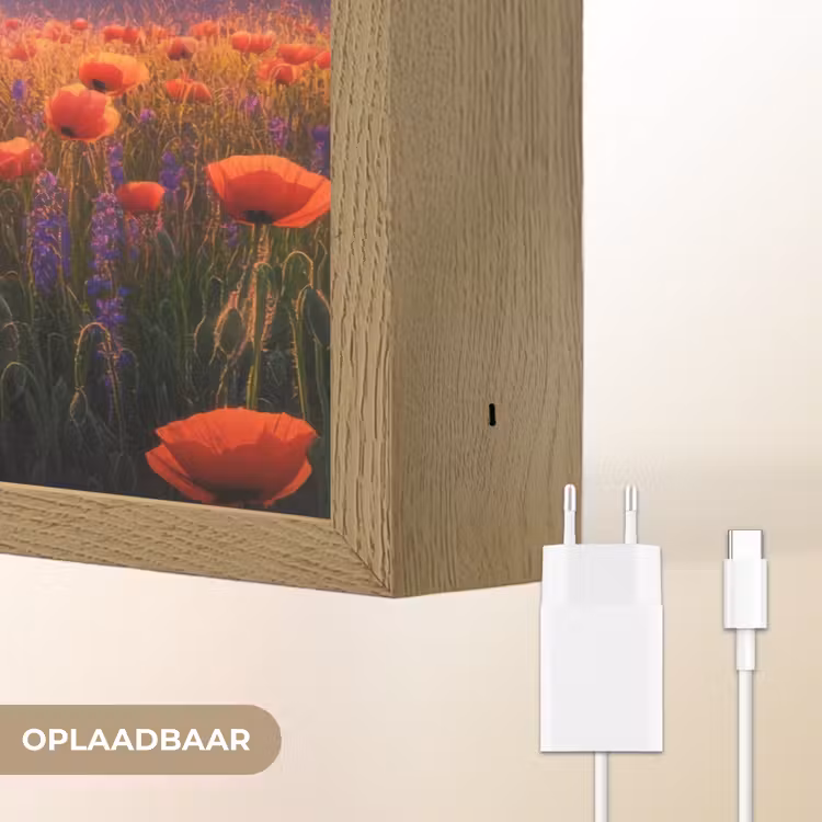 Lightbox - Wandlamp - Landschap - Zonsondergang - Bloemenveld — 7