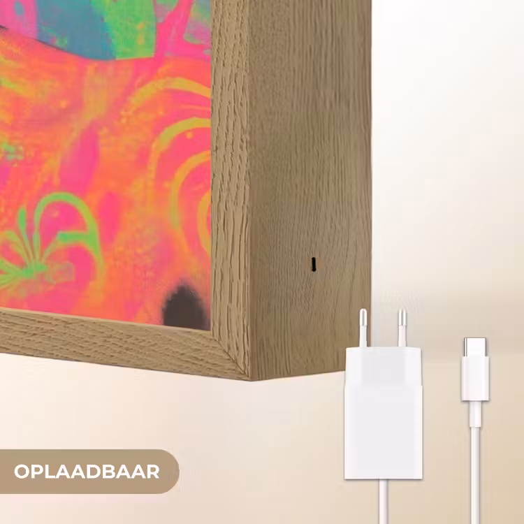Lightbox - Wandlamp - Neon - Vrouw - Microfoon — 6