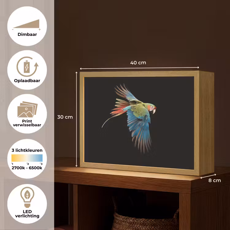 Lightbox - Wandlamp - Papegaai - Kleurrijk - Vleugels - Sierlijk — 10