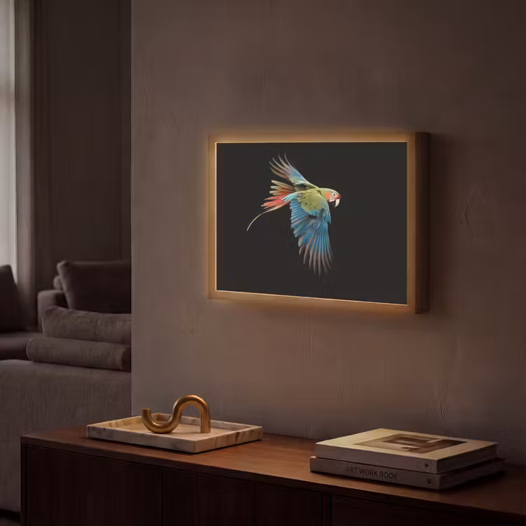 Lightbox - Wandlamp - Papegaai - Kleurrijk - Vleugels - Sierlijk — 2