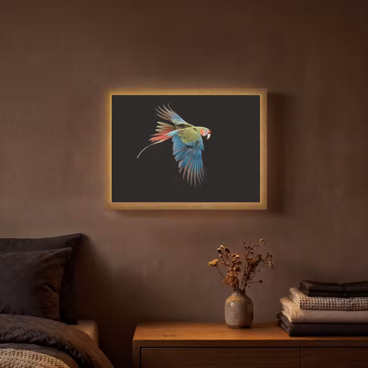 Lightbox - Wandlamp - Papegaai - Kleurrijk - Vleugels - Sierlijk — 3