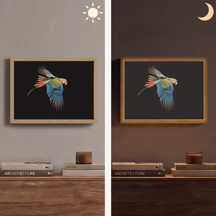 Lightbox - Wandlamp - Papegaai - Kleurrijk - Vleugels - Sierlijk — 6