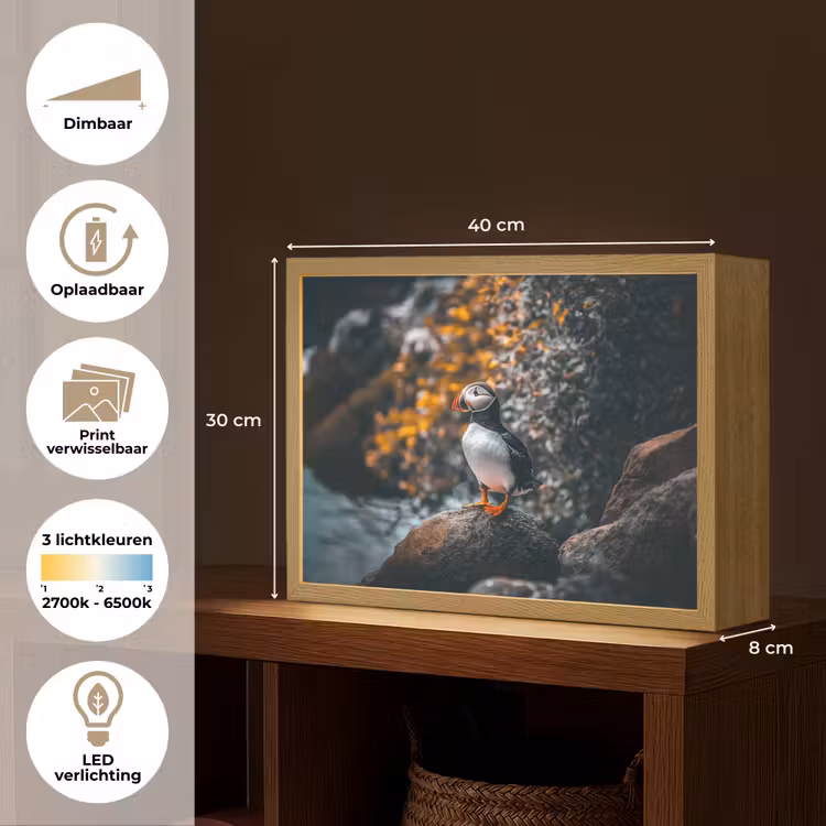 Lightbox - Wandlamp - Papegaai - Vogel - Rots - Wit — 10