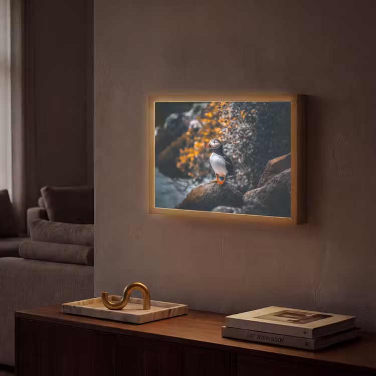 Lightbox - Wandlamp - Papegaai - Vogel - Rots - Wit — 2