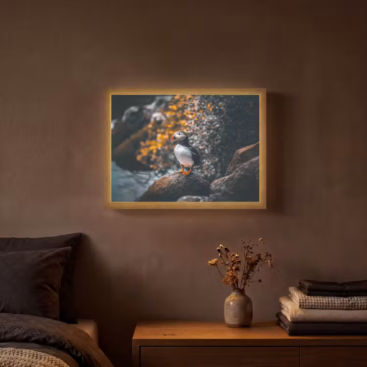 Lightbox - Wandlamp - Papegaai - Vogel - Rots - Wit — 3
