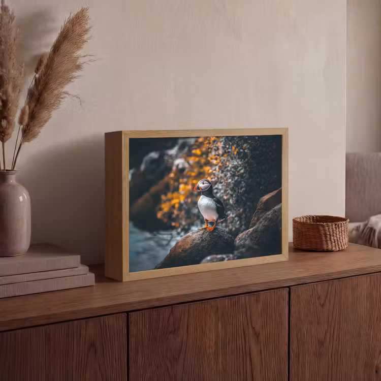 Lightbox - Wandlamp - Papegaai - Vogel - Rots - Wit — 4
