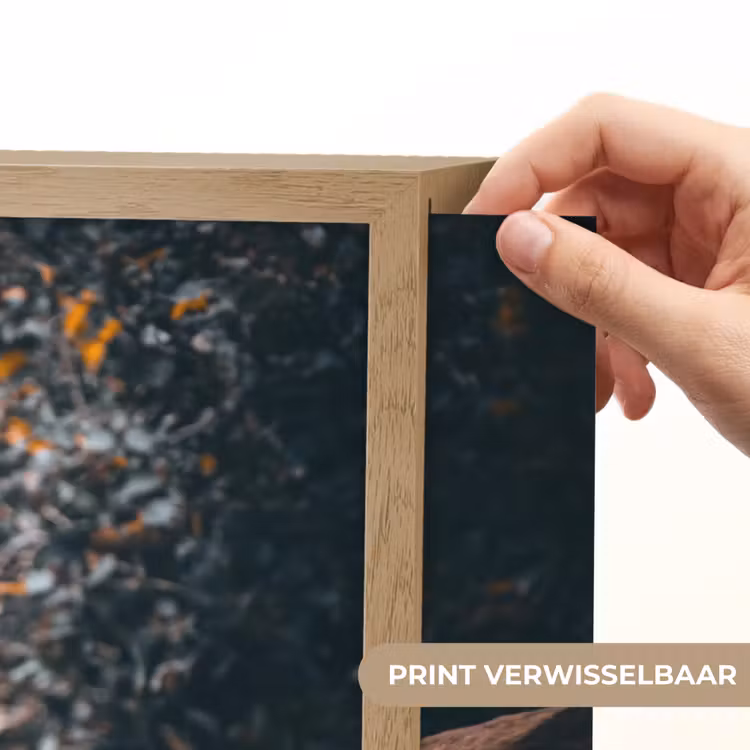 Lightbox - Wandlamp - Papegaai - Vogel - Rots - Wit — 5