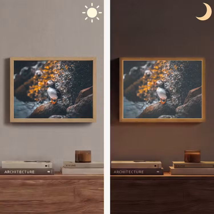 Lightbox - Wandlamp - Papegaai - Vogel - Rots - Wit — 6