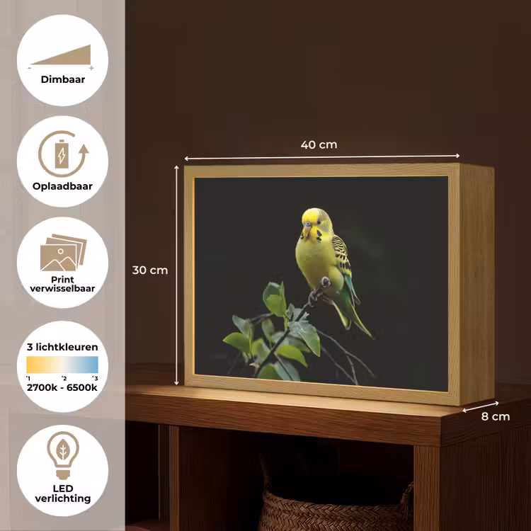 Lightbox - Wandlamp - Parkiet - Tak - Bladeren - Geel — 10