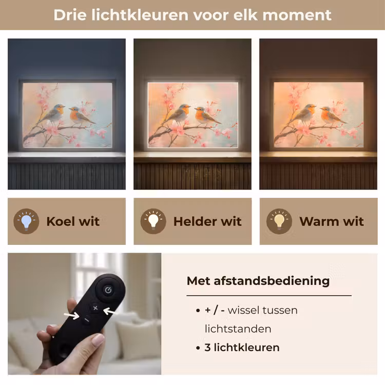 Lightbox - Wandlamp - Roodborstjes - Sierlijk - Bloesemtak — 8
