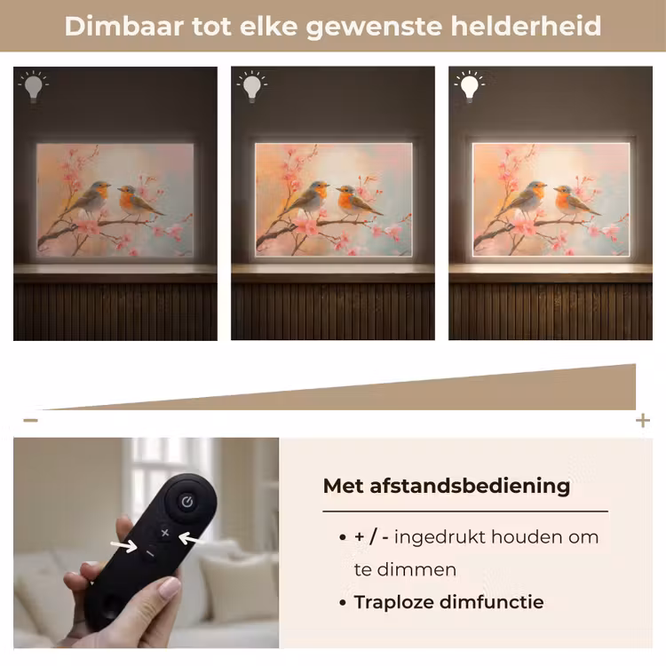 Lightbox - Wandlamp - Roodborstjes - Sierlijk - Bloesemtak — 9