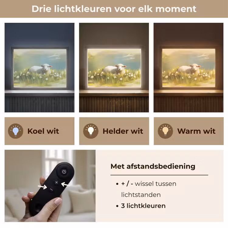 Lightbox - Wandlamp - Schaap - Weide - Groen — 8
