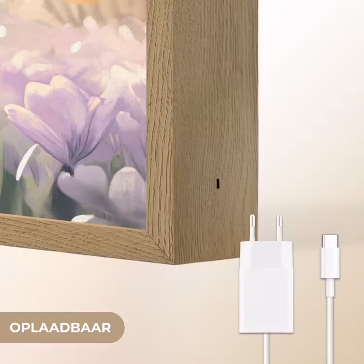Lightbox - Wandlamp - Viooltjes - bij - Zonlicht — 7