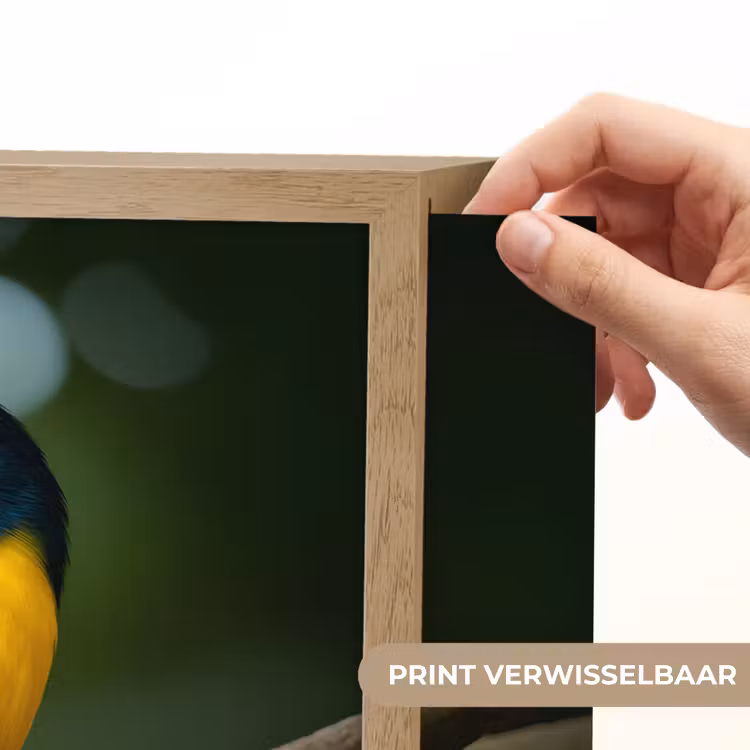 Lightbox - Wandlamp - Vogel - Tak - Geel - Bladeren — 5