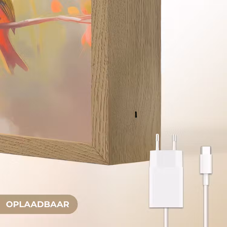 Lightbox - Wandlamp - Vogels - Kleurrijk - Tak — 7
