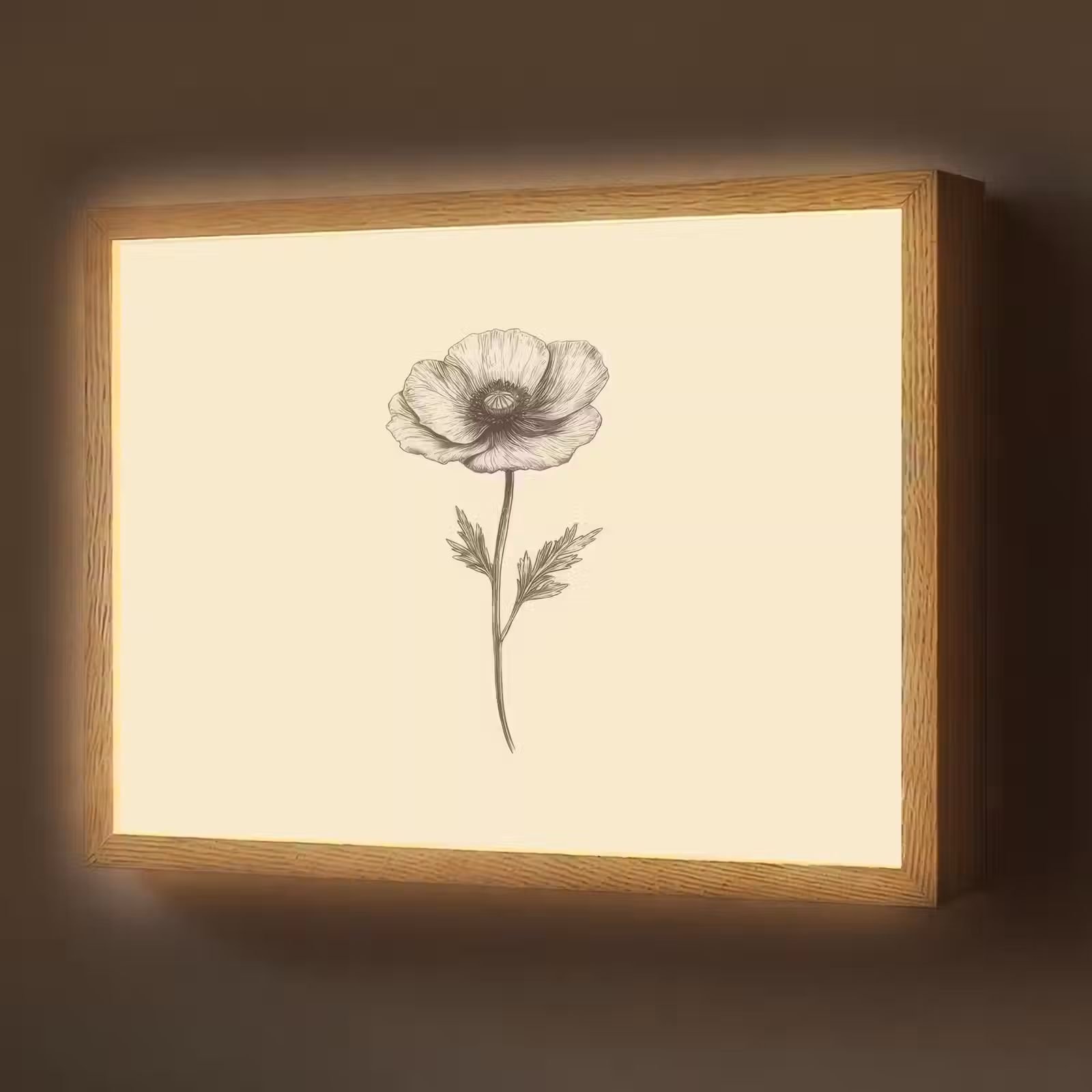 Lightbox - Wandlamp - Klaproos - Illustratie - Zwart — 1