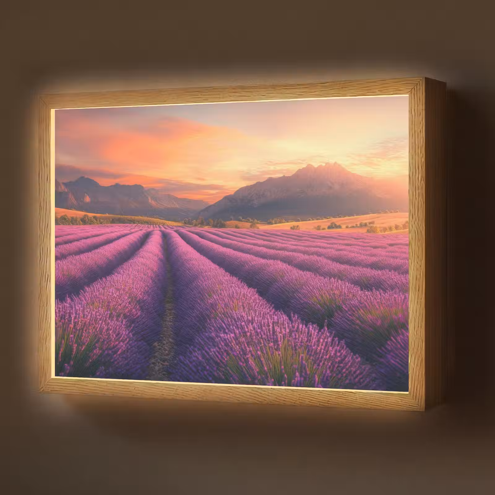 Lightbox - Wandlamp - Lavendelveld - Zonsondergang - Paars — 1