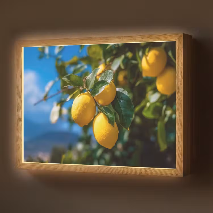 Lightbox - Wandlamp - Citroenen - Bladeren - Blauwe lucht — 1
