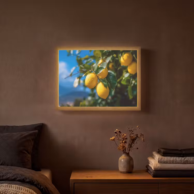 Lightbox - Wandlamp - Citroenen - Bladeren - Blauwe lucht — 3